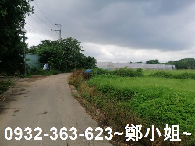 桃園區農地-11