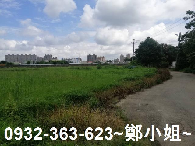 桃園區農地-5