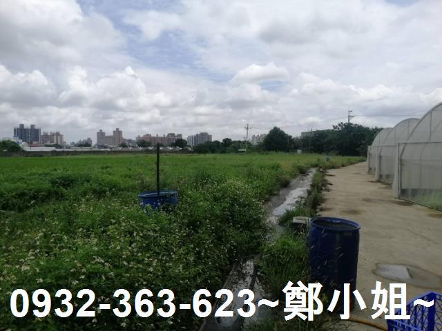 桃園區農地-8