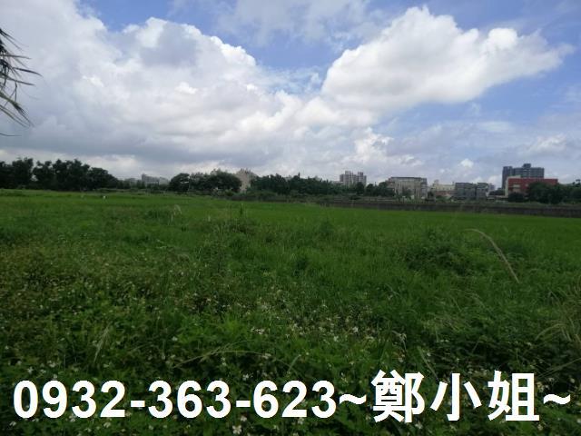 桃園區農地-9