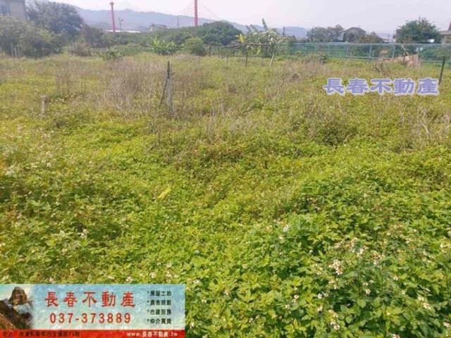 苗栗苗栗市農地-1