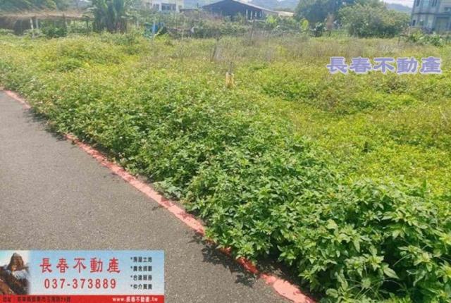 苗栗苗栗市農地-2