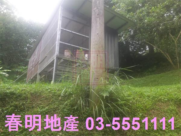 三灣農地-6