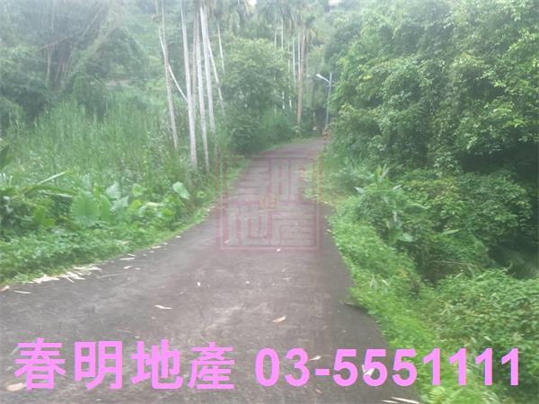 三灣農地-8