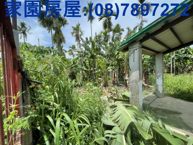 屏東內埔農地-2