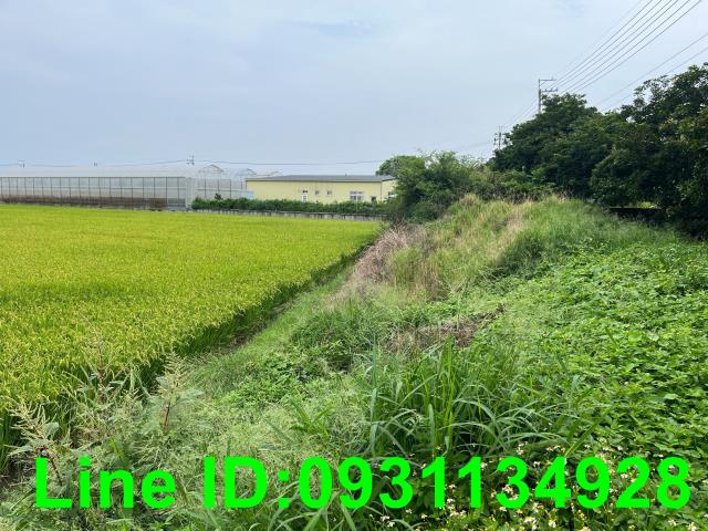 台中外埔農地-3