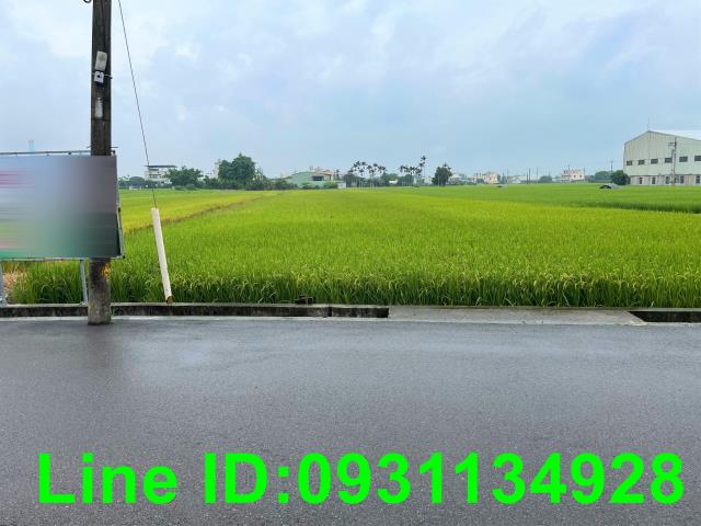 台中后里農地-1