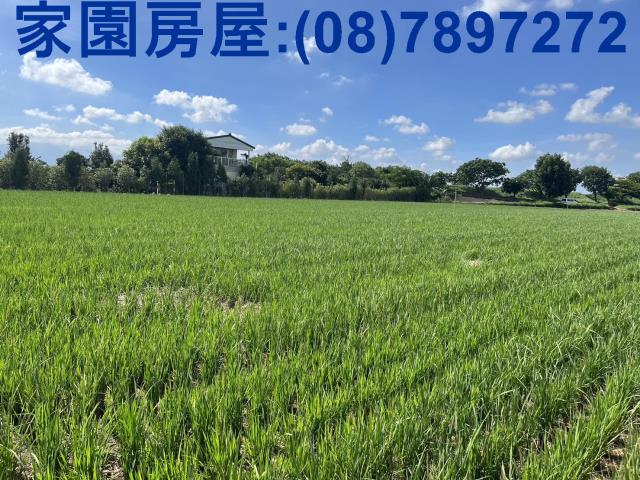 屏東萬丹農地-1