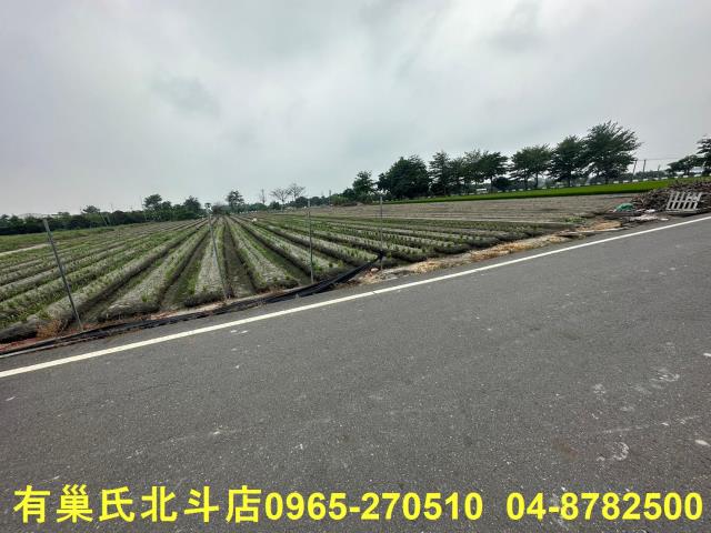 彰化田尾農地-3