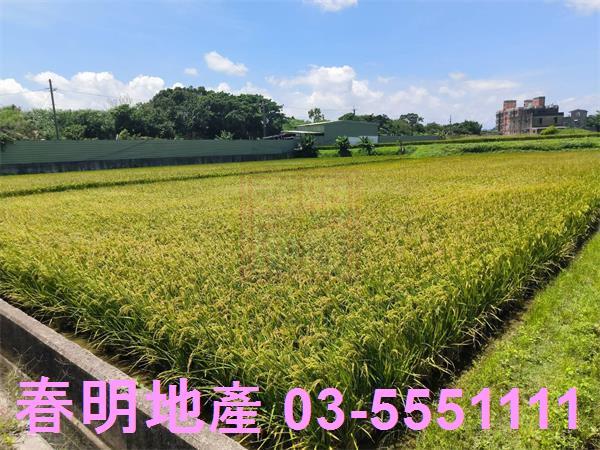 湖口農地-3