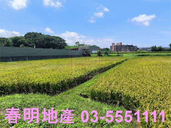 湖口農地-5