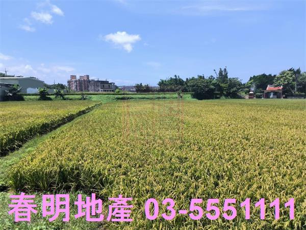 湖口農地-6