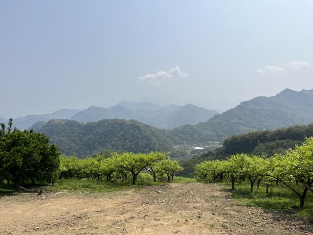 台中山坡地-3