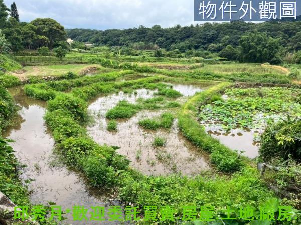 新北三芝農地-3