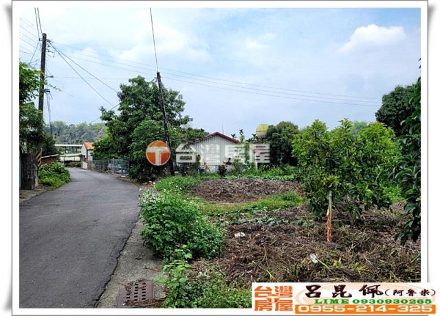 竹崎農地-2