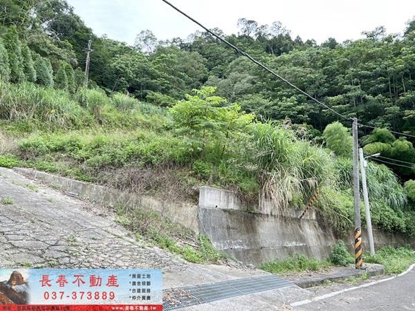 苗栗農地-10