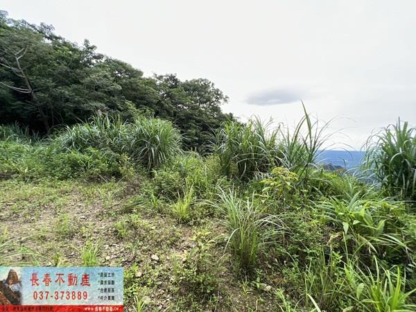 苗栗農地-1