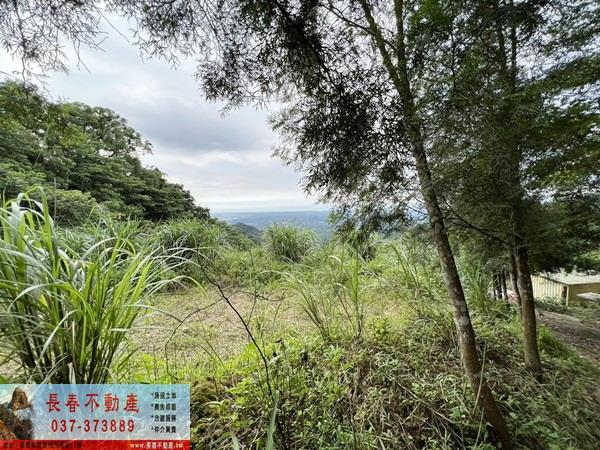 苗栗農地-2