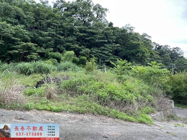 苗栗農地-4