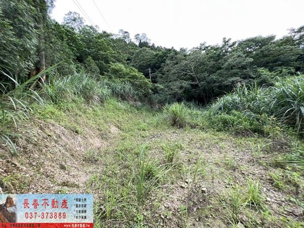 苗栗農地-6
