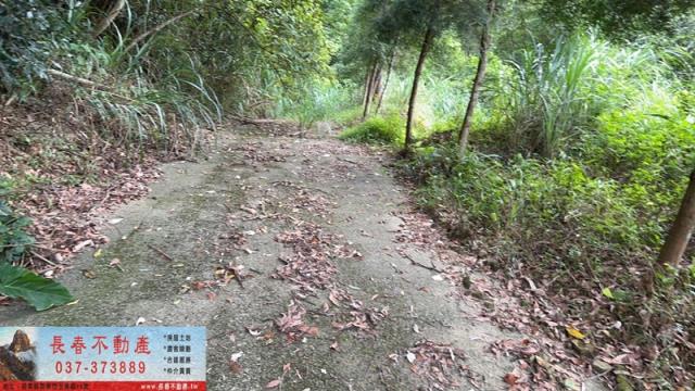 苗栗農地-8