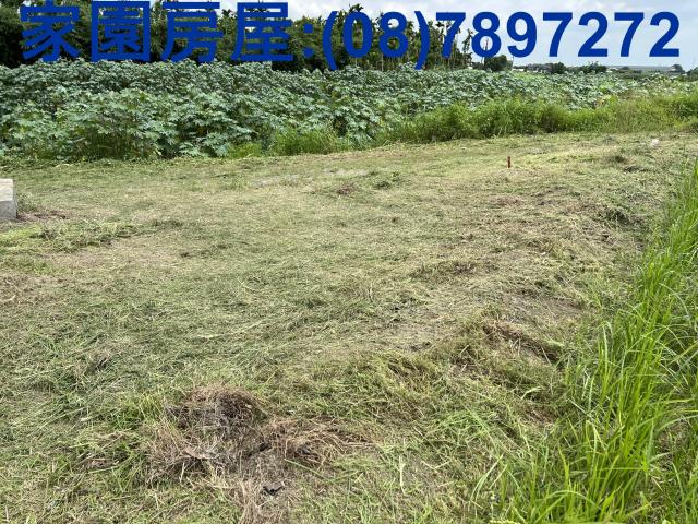 屏東農地-1
