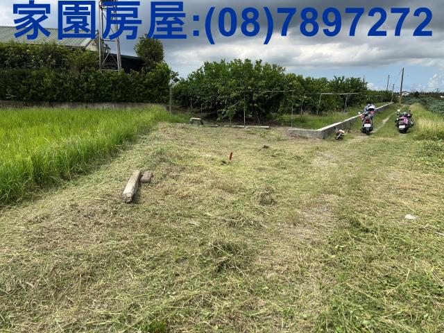 屏東農地-2