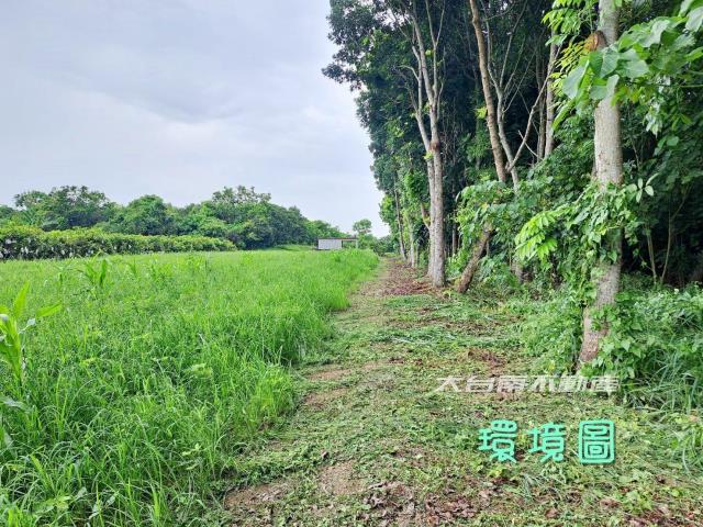 台南官田農地-2