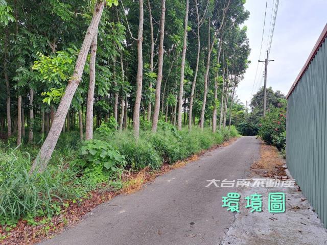 台南官田農地-3