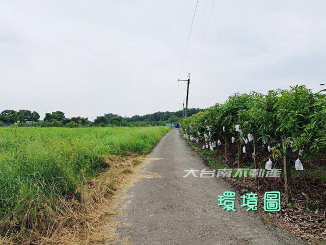 台南官田農地-4