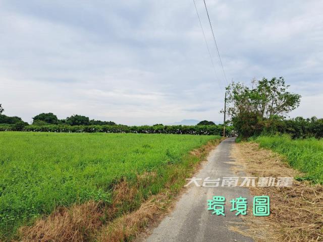 台南官田農地-5