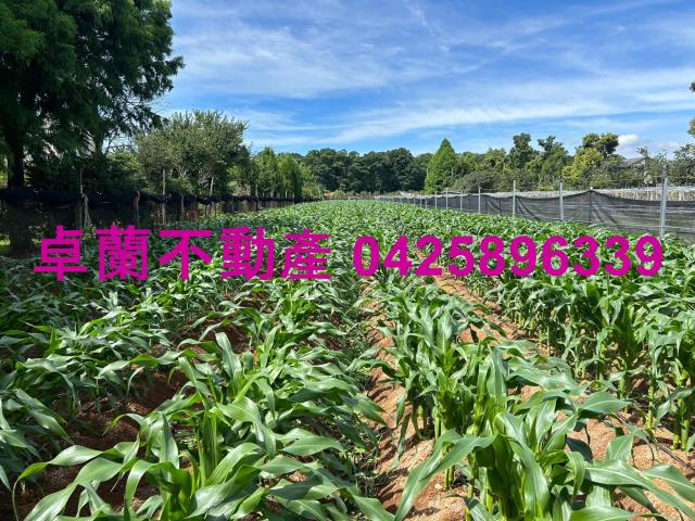 苗栗卓蘭農地-4
