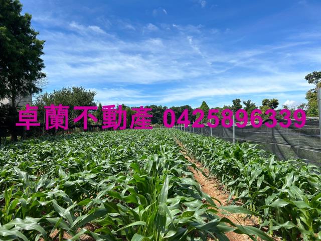 苗栗卓蘭農地-5