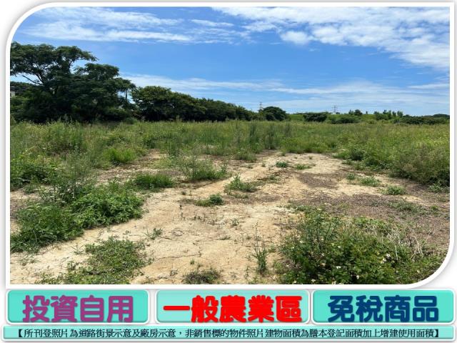 新屋農地-2