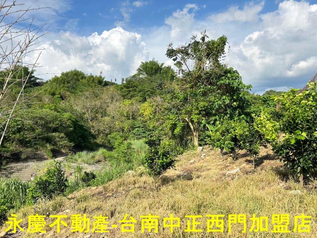 台南白河建地-10