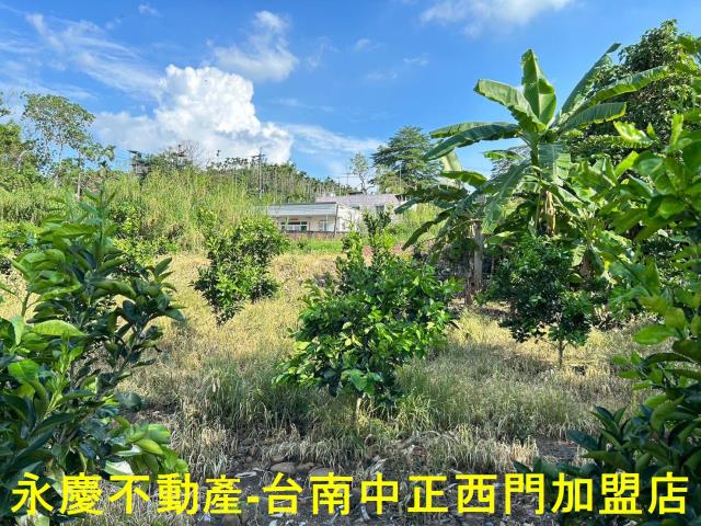 台南白河建地-12