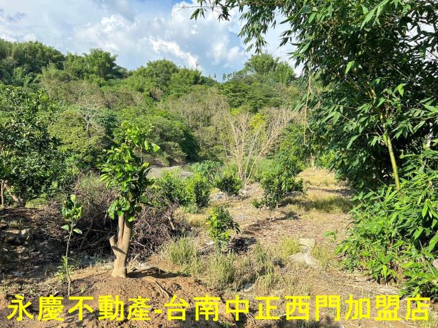 台南白河建地-14