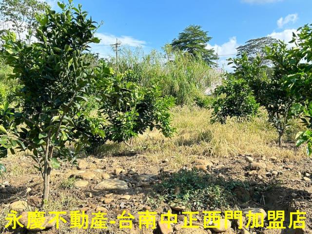 台南白河建地-5