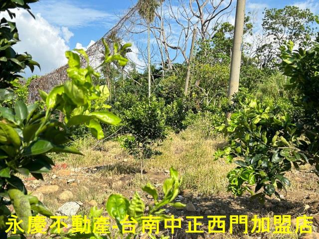 台南白河建地-6