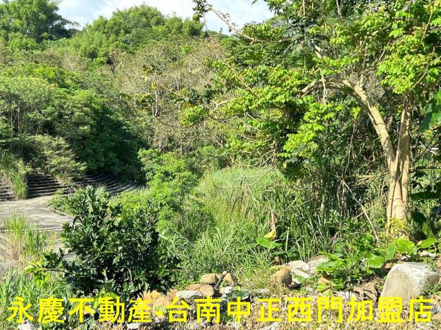 台南白河建地-7