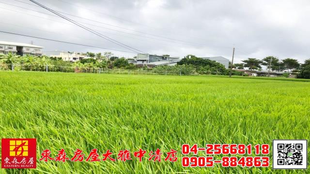 西屯農地-2