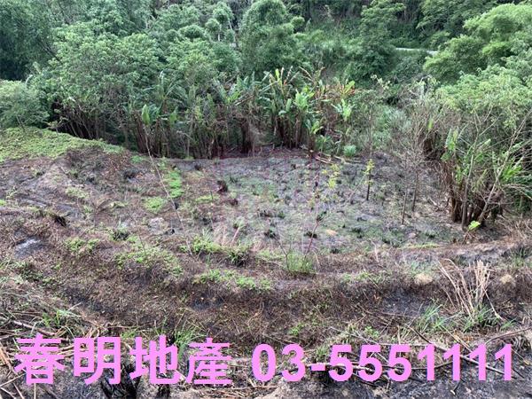 新竹峨眉農地-10