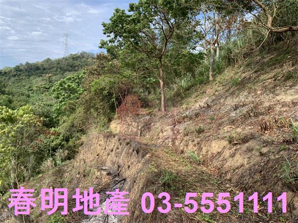 新竹峨眉農地-11