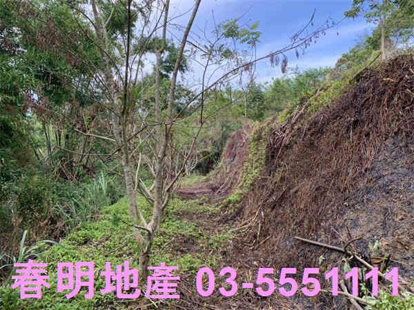 新竹峨眉農地-6