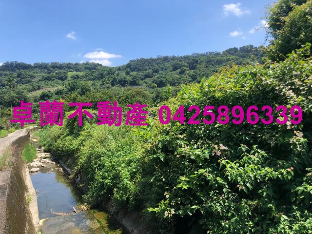 苗栗農地-1