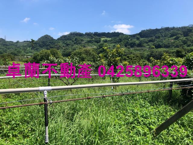 苗栗農地-3