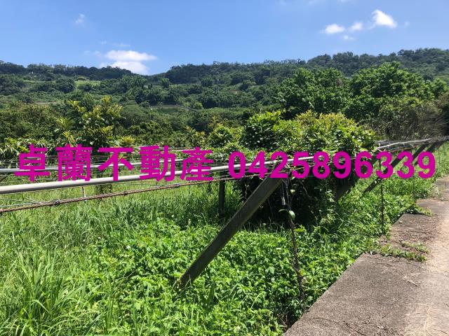 苗栗農地-4
