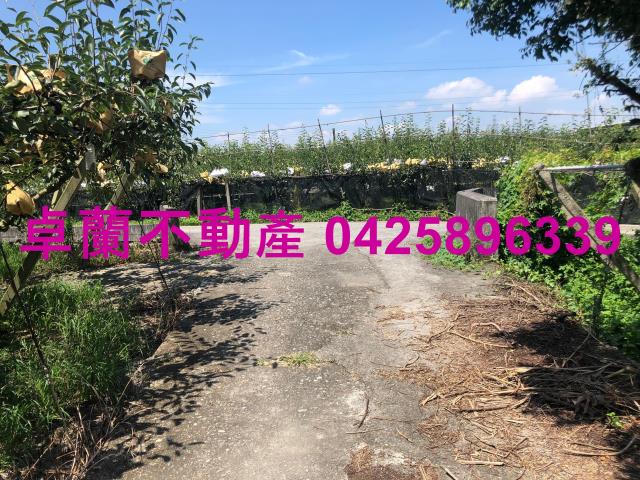 苗栗農地-5