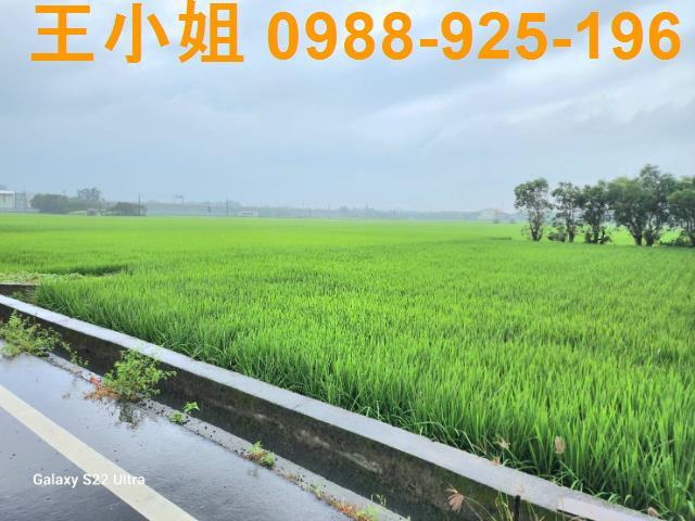 桃園農地-3