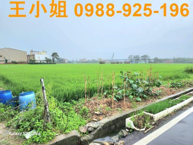 桃園農地-4